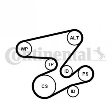 ΣΕΤ ΙΜΑΝΤΑ POLY-V BMW 3 (E46),5 (E60),X3 (E83) 03>    CONTI