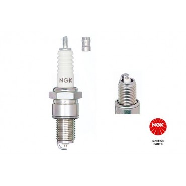 ΜΠΟΥΖΙ NGK (7811) ALFA 145/146-FIAT DUCATO