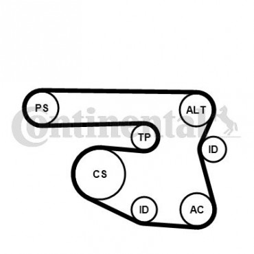 ΣΕΤ ΙΜΑΝΤΑ POLY-V BMW 1 (E81),E87),3 (E46) <11   CONTI