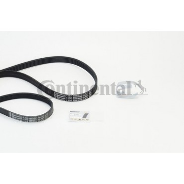 ΣΕΤ ΙΜΑΝΤΑΣ ELAST FORD FOCUS 1.4,1.6 04-  CONTITECH
