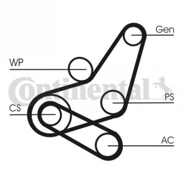ΣΕΤ ΙΜΑΝΤΑΣ ELAST FORD FOCUS 1.4,1.6 04-  CONTITECH