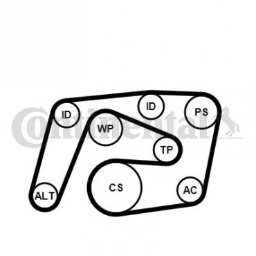 ΣΕΤ ΙΜΑΝΤΑ POLY-V MERCEDES C,E-CLASS (W203,W204,W211)    CONTI