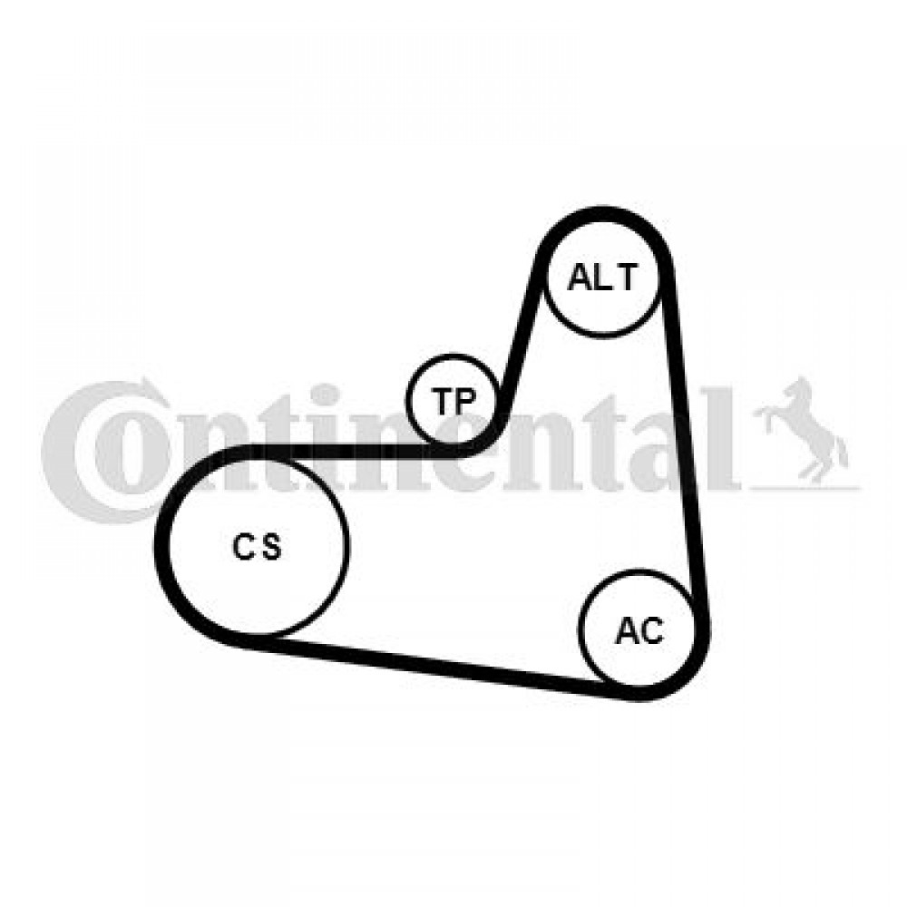 ΣΕΤ ΙΜΑΝΤΑ POLY-V AUDI-SEAT-SKODA-VW ΣΕΤ ΙΜΑΝΤΑ POLY-V AUDI-SEAT-SKODA-VW