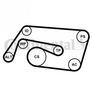 ΣΕΤ ΙΜΑΝΤΑ POLY-V MERCEDES C-CLASS (W203) CDI <07   CONTI